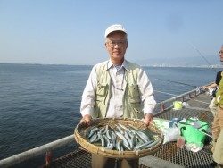 今日はサヨリが絶好釣!尼崎市立魚つり公園