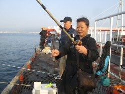 尼崎市立魚つり公園　サヨリ好調！