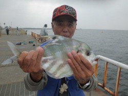 大阪南港海釣り公園　イトヒキアジほか