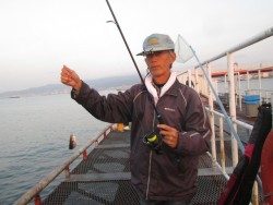 尼崎市立魚つり公園　サヨリ安定して釣れています！