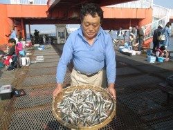 尼崎市立魚つり公園　イワシ7000匹！！