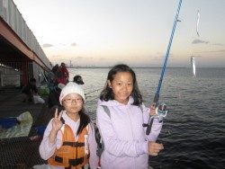 尼崎海釣り公園　サビキでイワシ・サッパ・アジ・サヨリなど