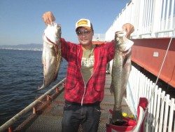 尼崎市立魚つり公園　今日もスズキは高反応！