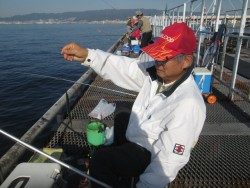 尼崎市立魚つり公園　今日もスズキが上がっています！