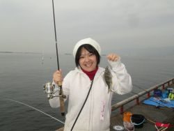 尼崎市立魚つり公園　サヨリの釣果は安定！