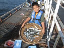 尼崎海釣り公園 魚種多彩に楽しめます