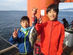 尼崎海釣り公園 魚種多彩に楽しめます