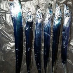 夕まずめにリベンジタッチー。