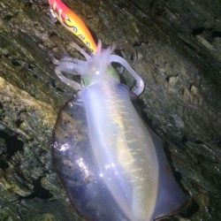 サイズアップ(^^♪