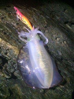 サイズアップ(^^♪