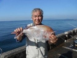 北港海釣り公園　マダイ50cmの釣果