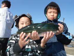 北港海釣り公園　ハマチ48cmの釣果