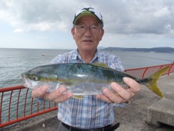神戸市立平磯海づり公園　メタルジグでハマチ…