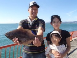 平磯海釣り公園　ウキ釣りでヒラメ36cm