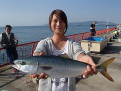 平磯海釣り公園　ルアーでハマチ43cm