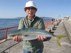 神戸市立平磯海づり公園　ノマセでメジロ
