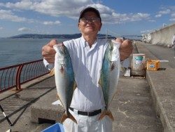 神戸市立平磯海づり公園　ウキ釣りでツバス