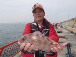神戸市立平磯海づり公園 投稿