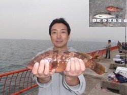 平磯海釣り公園　ウキ釣りでアコウ・ハネ