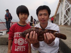 平磯海釣り公園　ウキ釣りでアコウ38cm