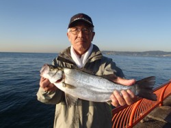 神戸市立平磯海づり公園　ヒラスズキ　45c…