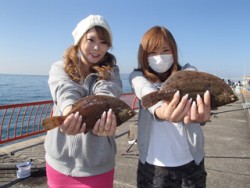 平磯海釣り公園　投げ釣りでカレイ30cmオ…