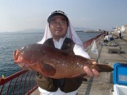 神戸市立平磯海づり公園　アコウ！記録賞！