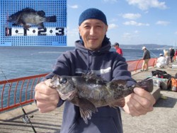 平磯海釣り公園　ウキ釣りでメバル28.5c…
