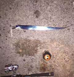 釣り吉32平様より【マナティー＆ZZヘッド】のモニターレポート