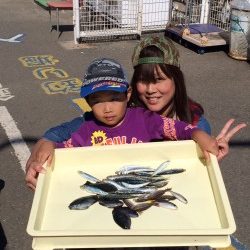 和歌山マリーナシティ海釣り公園　グレ、イワシ、イサキ