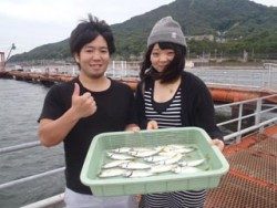 神戸市立須磨海づり公園　サビキでアジ