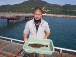 須磨海釣り公園　のませでヒラメ40cm