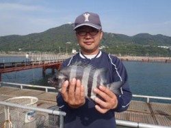 イシダイ釣れました！神戸市立須磨海づり公園