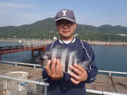 イシダイ釣れました！神戸市立須磨海づり公園…