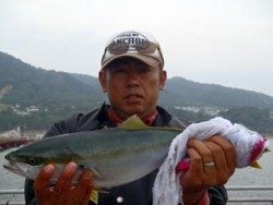 須磨海釣り公園　ウキ流しでハマチ43cm