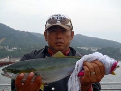 須磨海釣り公園　ウキ流しでハマチ43cm