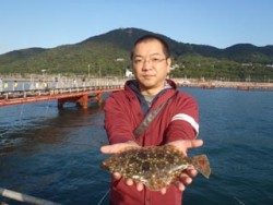 神戸市立須磨海づり公園 、投げ釣りで平目