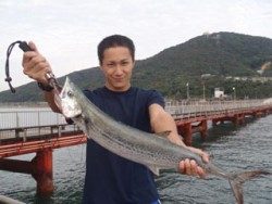 神戸市立須磨海づり公園　ジギングでサワラ