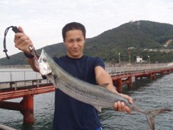 神戸市立須磨海づり公園　ジギングでサワラ