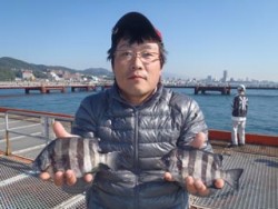 須磨海釣り公園　落とし込みでサンバソウの釣…