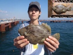 マルハゲ記録賞！神戸市立須磨海づり公園