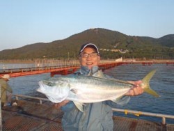 神戸市立須磨海づり公園　メジロ！
