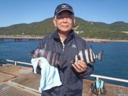 神戸市立須磨海づり公園　落とし込みでイシダ…