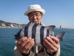 神戸市立須磨海づり公園　落とし込みでサンバソウ