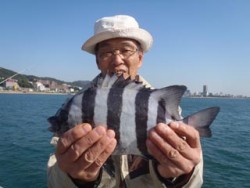 神戸市立須磨海づり公園　落とし込みでサンバ…