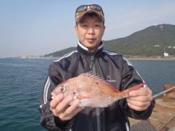 神戸市立須磨海づり公園　ウキ流しでマダイ