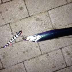 初投稿!タチウオ釣り!