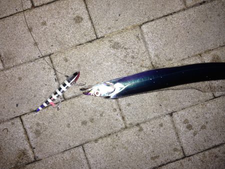 初投稿！タチウオ釣り！