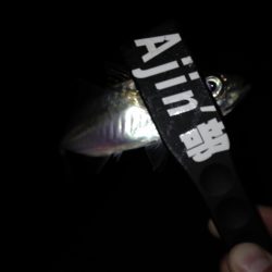 タイミング次第