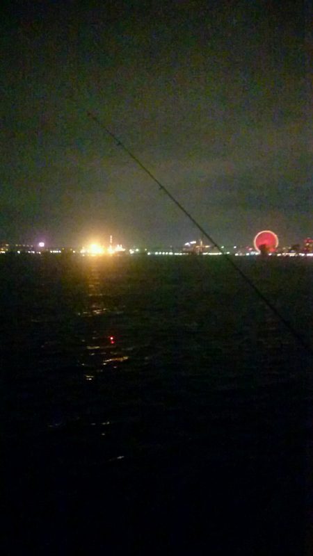 エサ釣りしながらのワインド